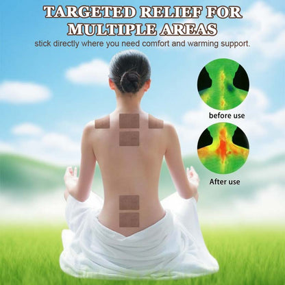 🔥2025 Nieuwe aankomst 🔥Alsem Moxibustion Joint Patch