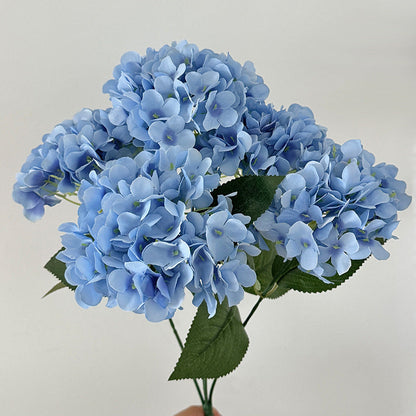Kunsthortensia’s