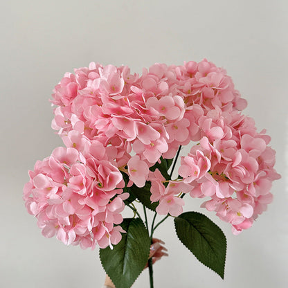 Kunsthortensia’s