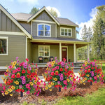 Afbeelding in Gallery-weergave laden, Kunstmatige Eucalyptus en Viooltjes Grondstekers Bloemdecorati
